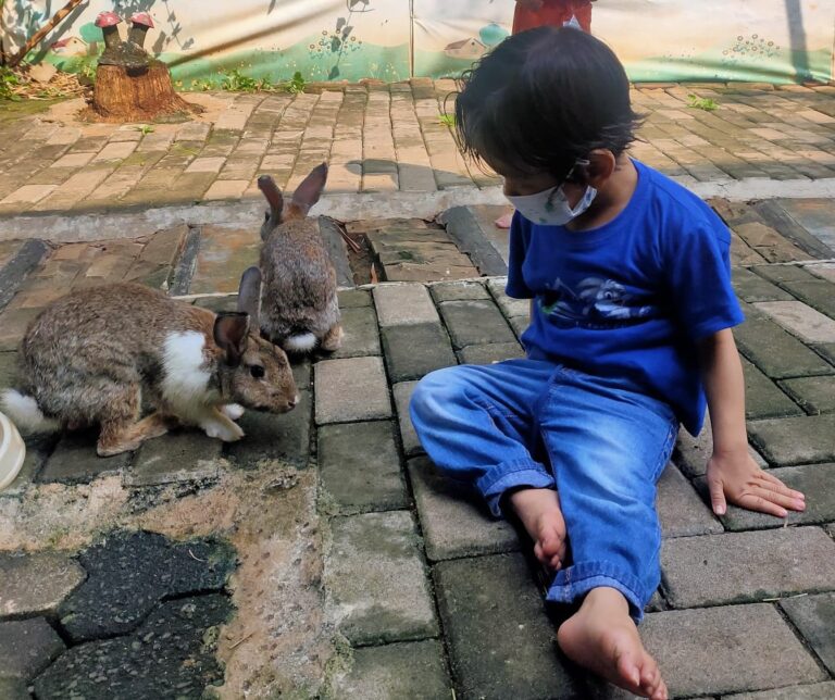 Anak bermain bersama kelinci di taman sekolah