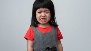 Apa itu Fase Terrible Two?