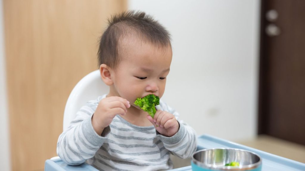 Ketika Anak Menolak Makanan Padat